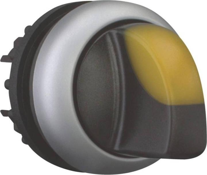 Gelb, Schwarz, Silber