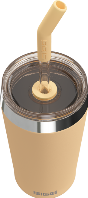 Actual product image Sigg Helia (0.45 l)