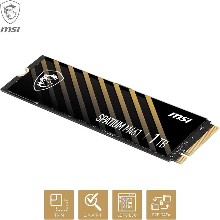 Immagine prodotto MSI Spatium M461 (1000 GB, M.2)