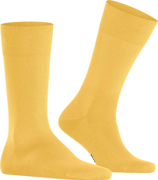 Actual product image Falke Cool 24/7 Baumwollsocken (Single pack, 45 - 46)
