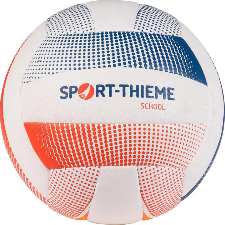 Sport-Thieme Volleyballanlage Universal