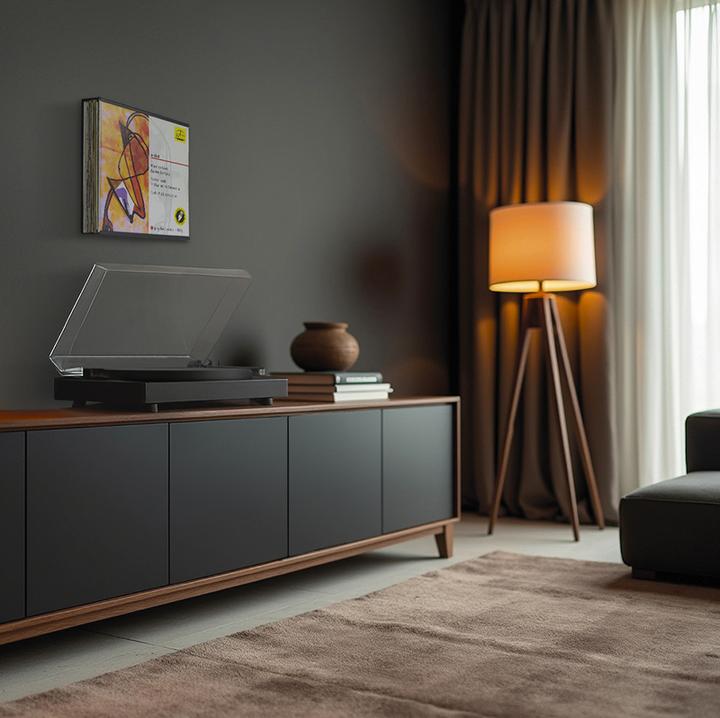 Actual product image Dynavox Record cover removable frame MDF (Plates)