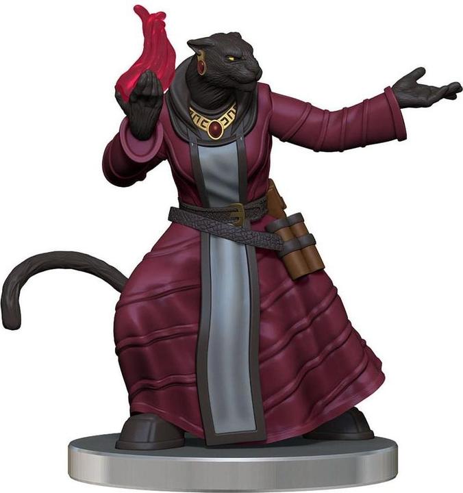 Image du produit Wizkids Critical Role miniatures prépeintes The Tombtakers Boxed Set