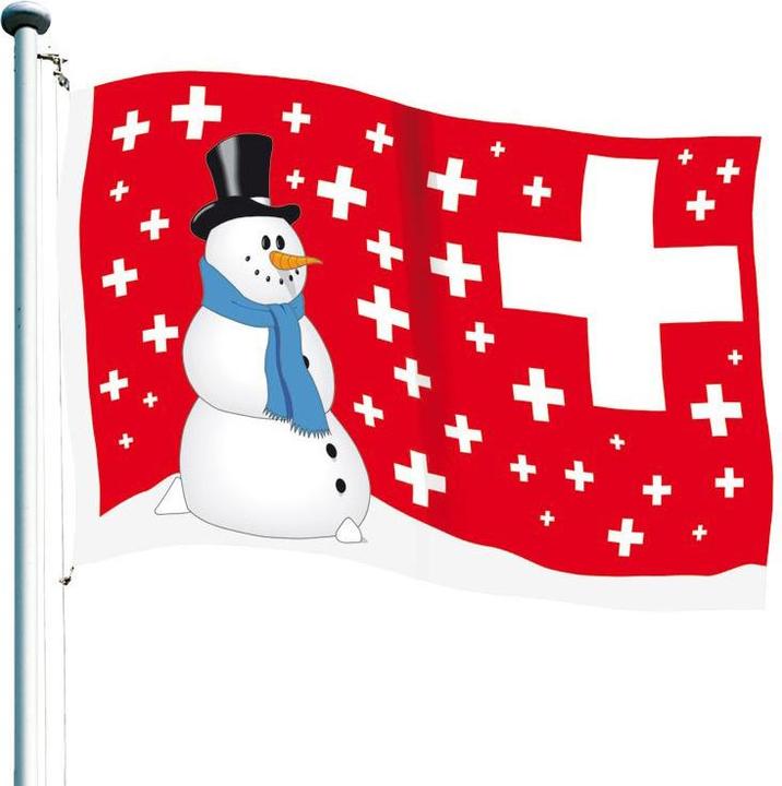 Keller Fahnen Schweizerfahne «Schweizerflocken»