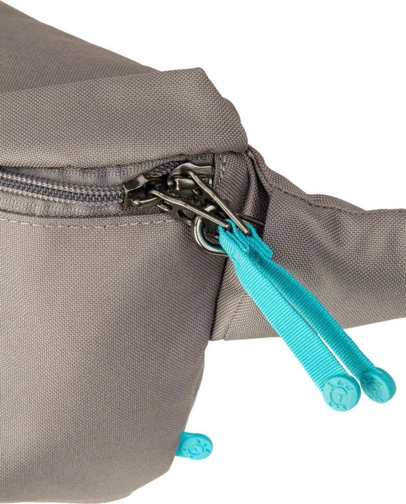 Actual product image Pacsafe Go