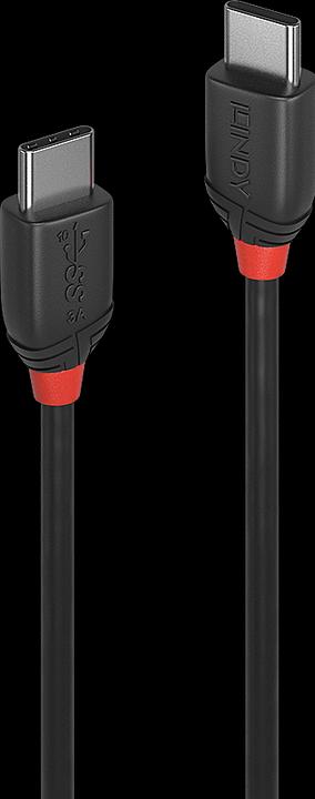 Actual product image Lindy black line (0.50 m, USB 3.1, 60 W)