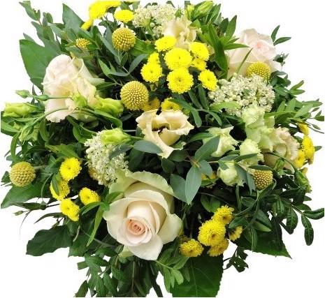 Produktbild Myflower Sonnenschein (Schnittblumen)