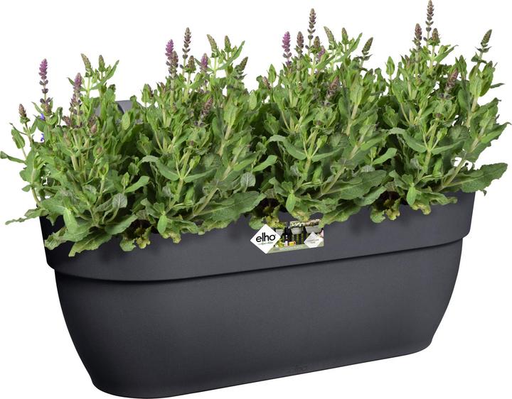 Produktbild Elho Vibia Campana Easy (46 x 46 x 27 cm)