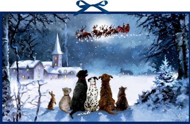 Coppenrat - Wunderbare Hunde-Weihnacht