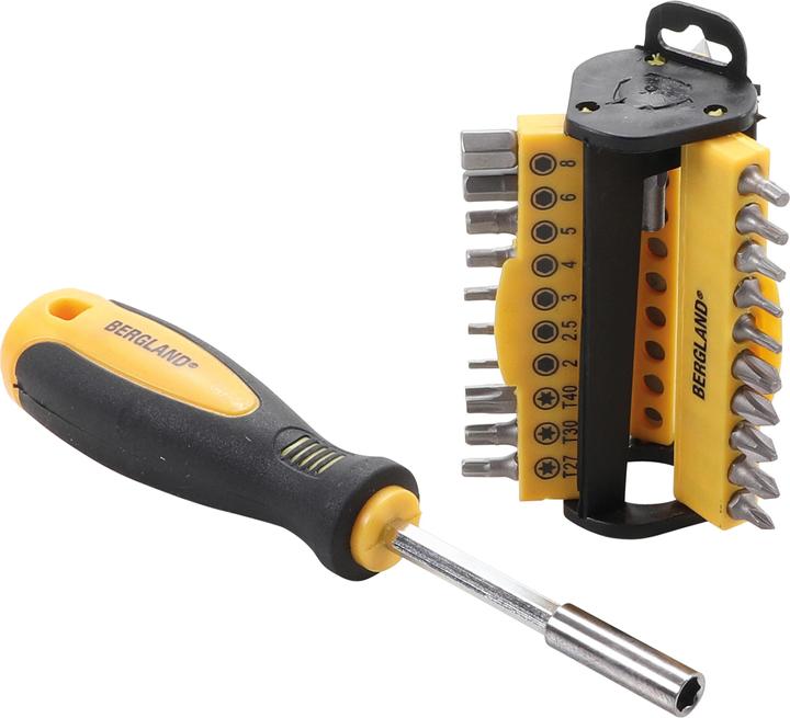 Actual product image BGS Schraubendreher-Bit-Satz (Allen screw, Cross recess, External square drive, Port, T-section)