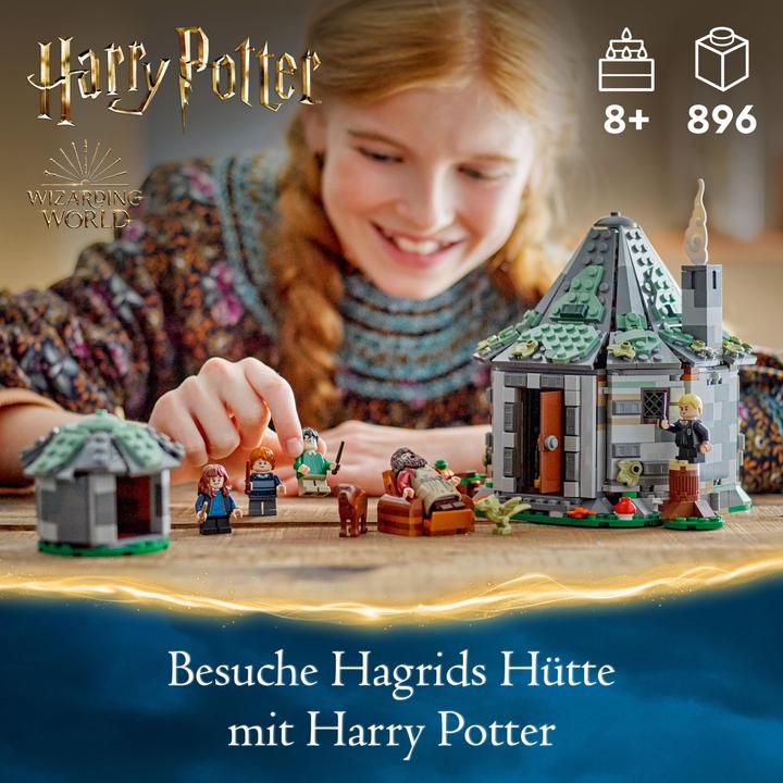 Produktbild LEGO Hagrids Hütte: Ein unerwarteter Besuch (76428, LEGO Harry Potter)
