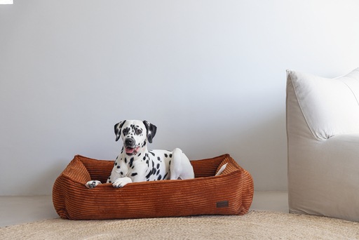 Productafbeelding Designed by Lotte Geribbeld (Hond)