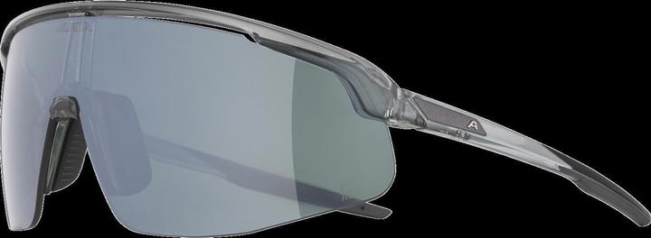 Actual product image Alpina Turbo Pro Q-Lite (Dark Grey Transparent, Silver)
