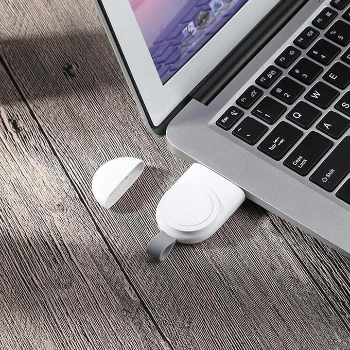Actual product image PhoneLook Magnetic Portable USB Charger