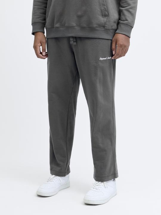 Actual product image Jack & Jones Plus Size Relaxed Fit Relaxed Fit Hosen Relaxed Fit Hosen (44)