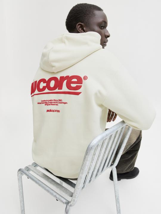 Produktbild Jack & Jones Kapuzenpullover Kapuzenpullover (XXL)