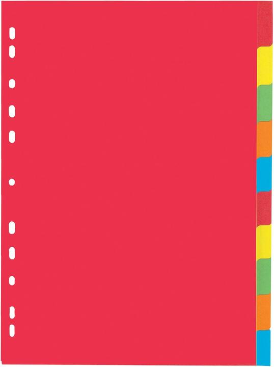 Pagna Karton-Register, DIN A4, 10-teilig, 5-farbig