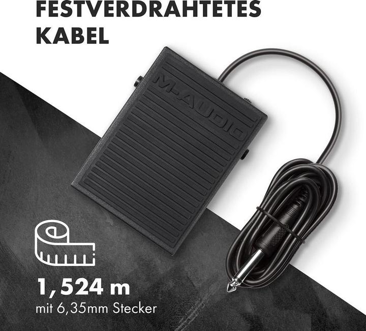 Image du produit M-Audio Sp-1 (Commande à pied)