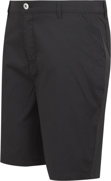 Actual product image Regatta Mens Dalry Multi Pocket Shorts (33)