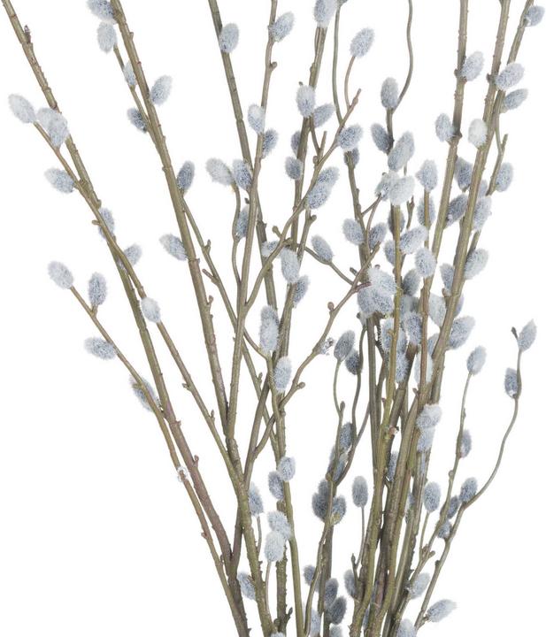 Actual product image Hill Interiors Artificial Plant Willow Catkin