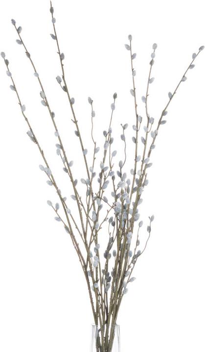 Actual product image Hill Interiors Artificial Plant Willow Catkin