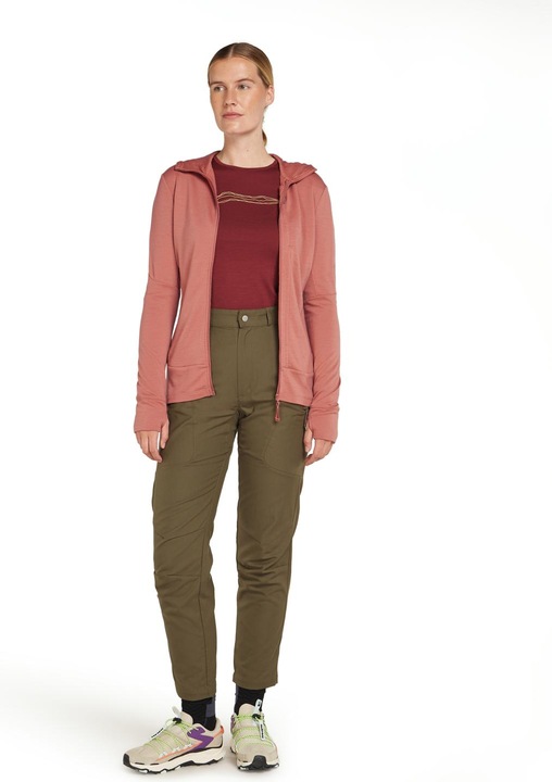 Produktbild Icebreaker Women's Merino 260 Quantum IV L/S Zip Hoodie (XS)