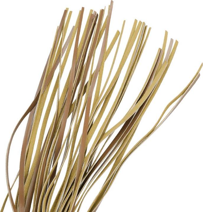 Produktbild Fetish submissive Vegane Lederpeitsche