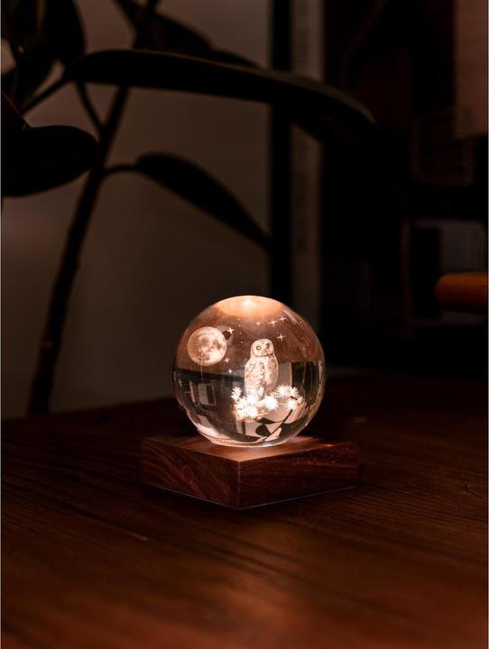 Produktbild Gingko LED Stimmungslicht Amber Eule Braun/Transparent