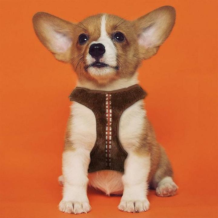 Produktbild NoName CHEWBACCA - Harnais chien - XXS/XS (Longueur 29-41cm - Largeur 2.4cm) (XS, XXS, Hund)