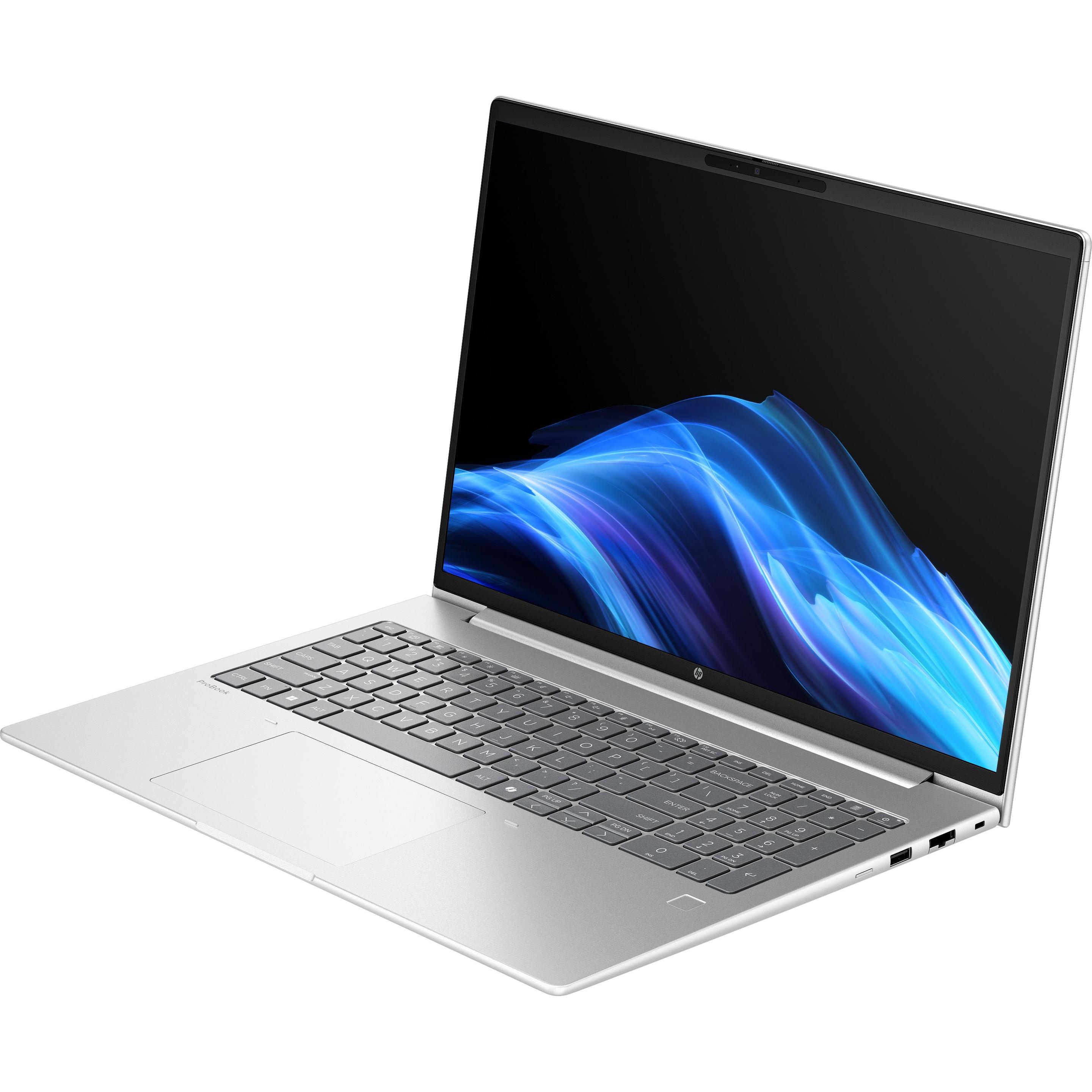 HP ProBook 4 G1ah 16 inch Notebook PC (16", AMD Athlon 220GE, 32 GB, 512 GB, Tastierino numerico), Notebook, Argento