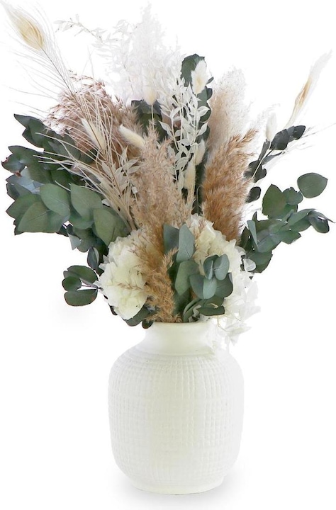 Image du produit Soli Collection Lara (Fleurs séchées)