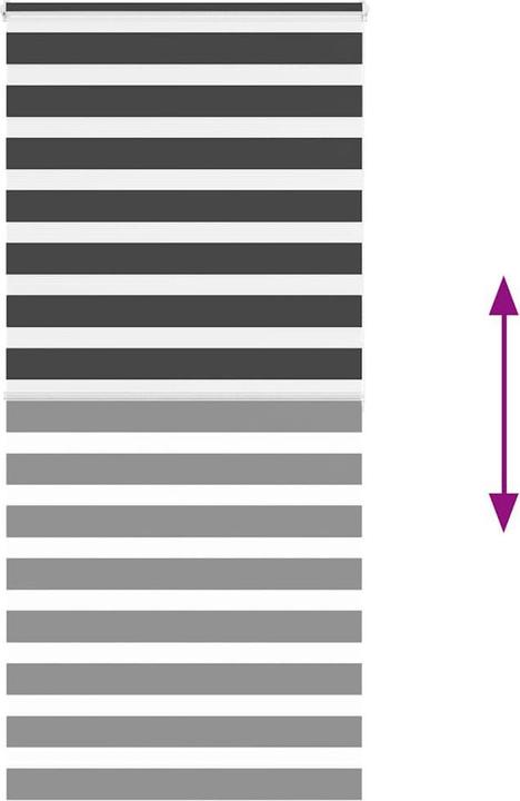 Produktbild vidaXL Zebra-Jalousie (105 x 200 cm)