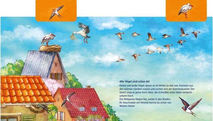 Immagine prodotto Cosa fanno gli animali in primavera? (Anna Karina Birkenstock, Tedesco)