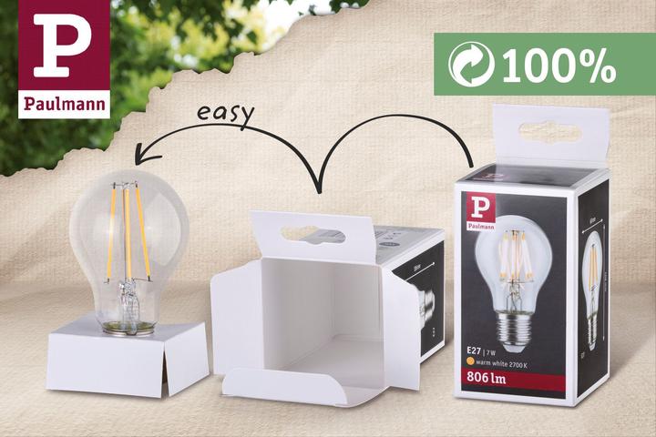 Image du produit Paulmann Globe (E27, 6 W, 470 lm, 1 x, G)