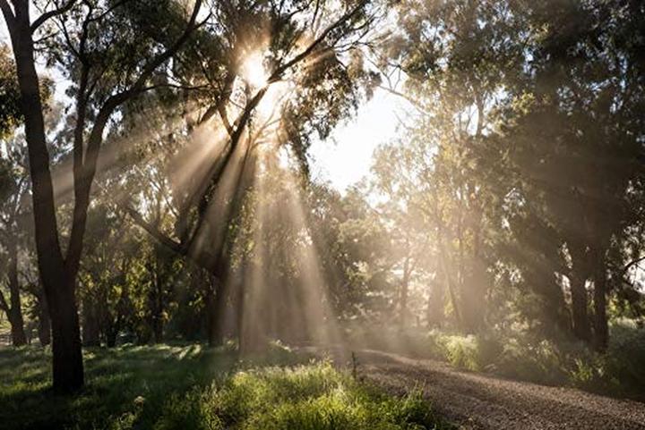 Immagine prodotto Tamron SP 35mm F/2.8 Di III OSD M1:2, Sony E (Sony E, Full frame)