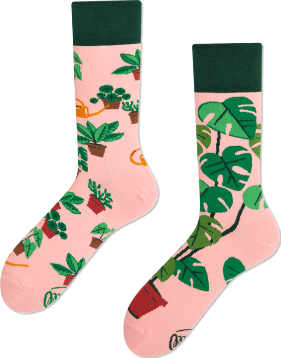Actual product image Many Mornings Plant Lover (Single pack, 43 - 46)