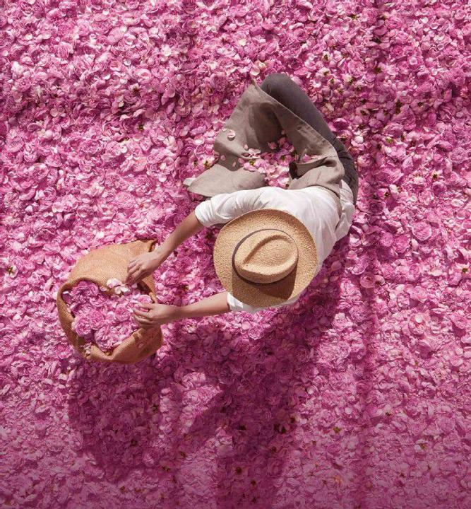 Produktbild Dior Miss Absolutely Blooming (Eau de Parfum, 30 ml)