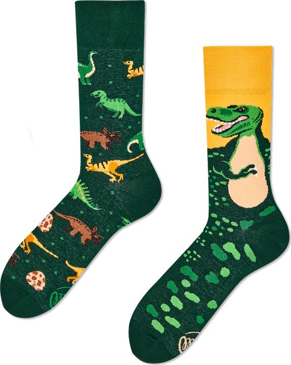 Actual product image Many Mornings The Dinosaur (Single pack, 35 - 38)