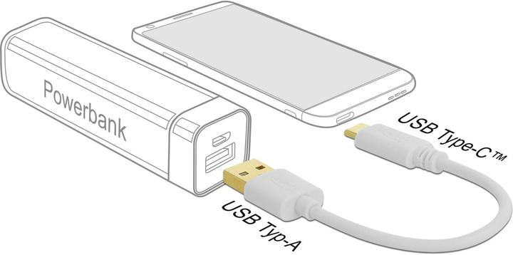Actual product image Delock USB A — USB C (0.15 m)