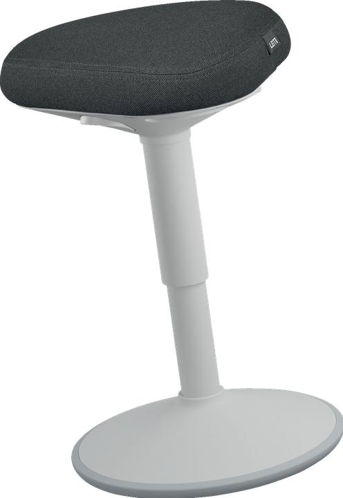 Produktbild Leitz Ergo Active