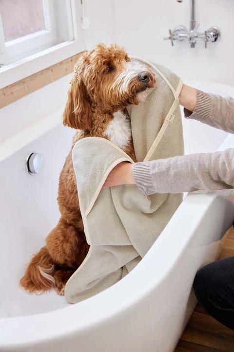 Actual product image Palopa Dog towel