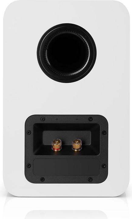 Actual product image Teufel Ultima 20 Mk4 (1 pair)