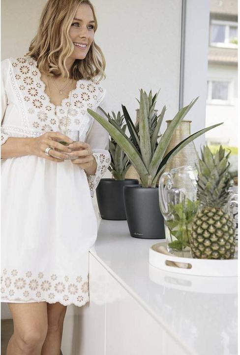 Image du produit Lechuza Classico (22 x 20 cm)