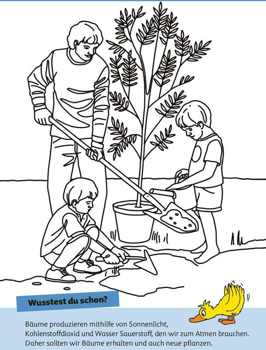 Produktbild Die Maus - Malblock mit Sachwissen Klima und Erde (Deutsch, Fiona Osbaldstone, pen2nature, 2024)