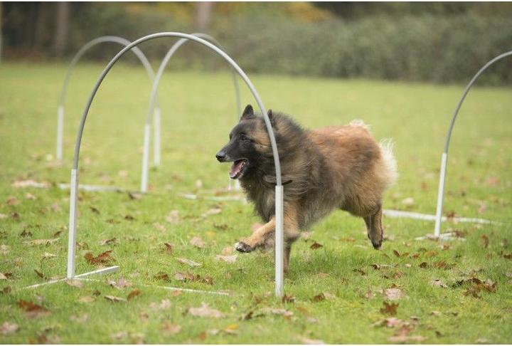 Image du produit Petcenter Agility Hooper | 1 pièce (Taille unique, Agility)