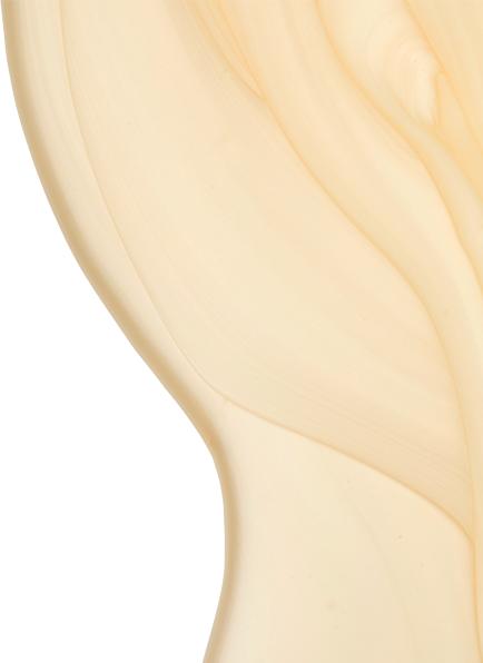 Immagine prodotto Evo Salvezza rituale (Shampoo per pidocchi, 300 ml)