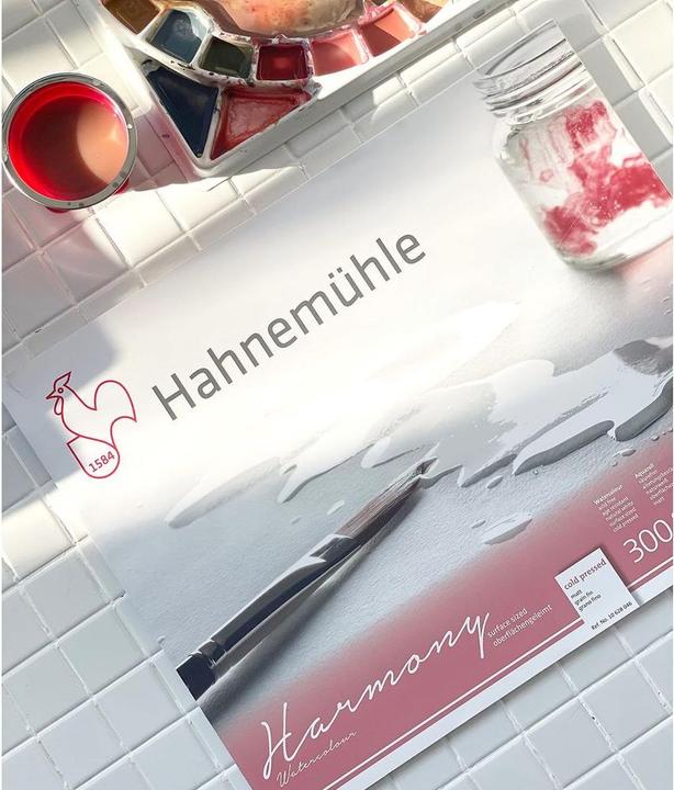 Immagine prodotto Hahnemühle Harmony (A4, Nessuna)
