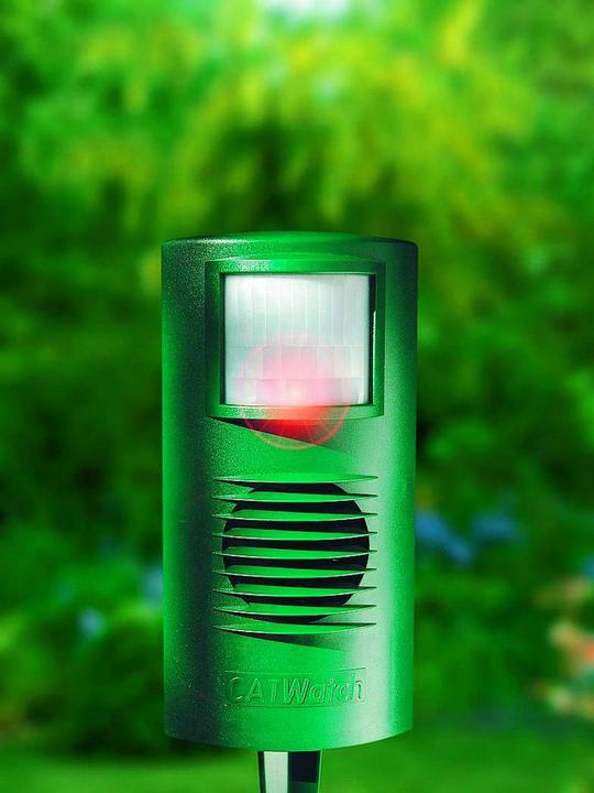 Immagine prodotto Colibri Catwatch