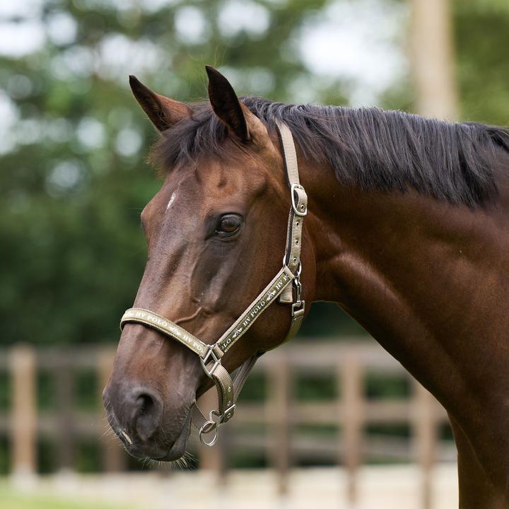 Produktbild HV Polo Nena