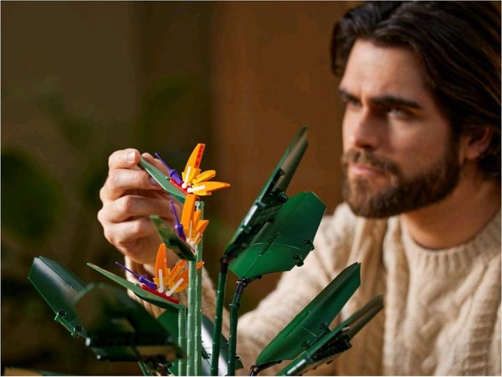 Actual product image LEGO Bird of Paradise (10289, LEGO Rare Sets)